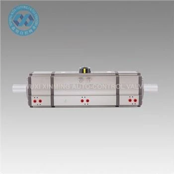 Acier inoxydable 316 actionneur pneumatique à trois étapes