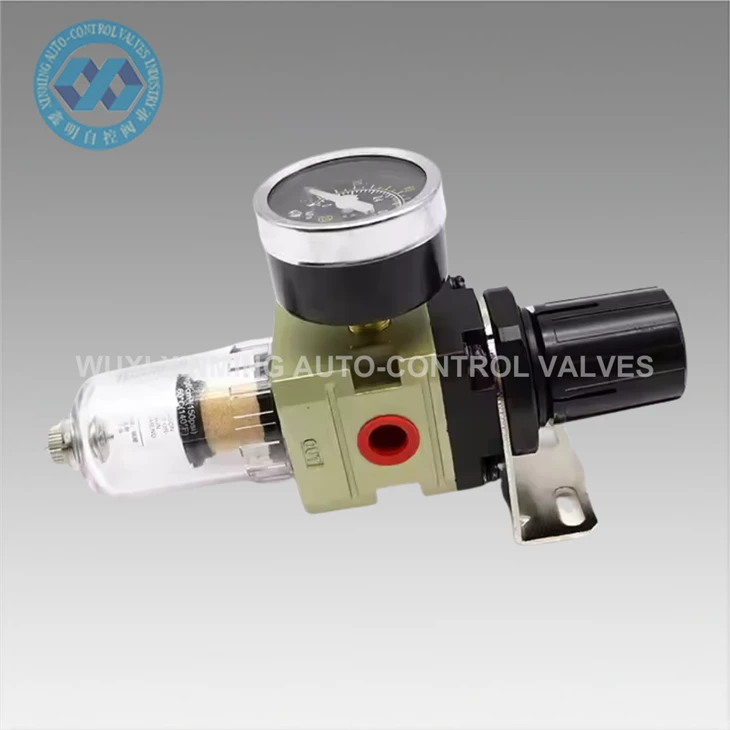 AW2000-02 Precision Single-Stage Filter Regulator For Air Pumps