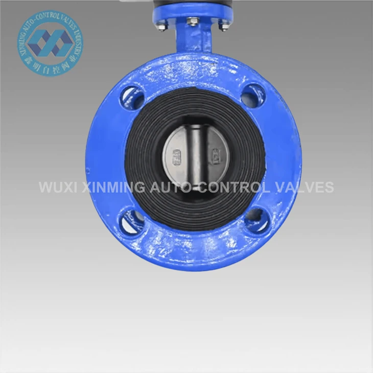 Custom Single And Double Action Flanged Butterfly Valve