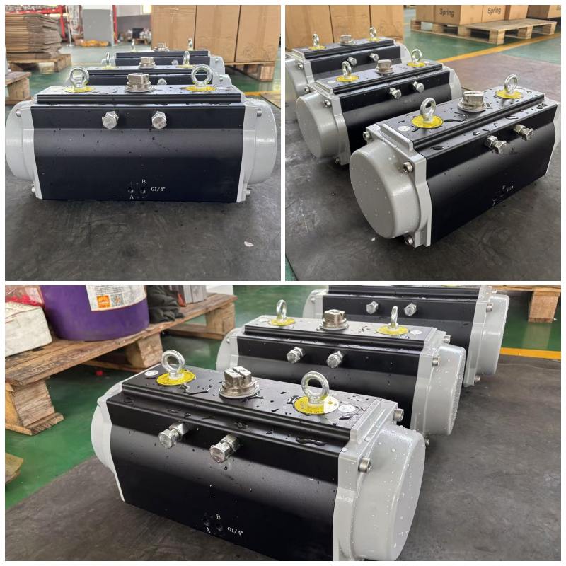 Pneumatic Actuator-Black Oxidation