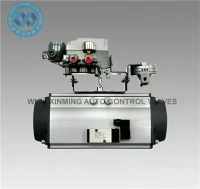 Actuateur rotatif pneumatique SR