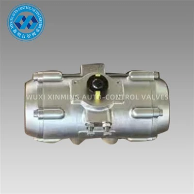 Vannes pneumatiques en acier inoxydable